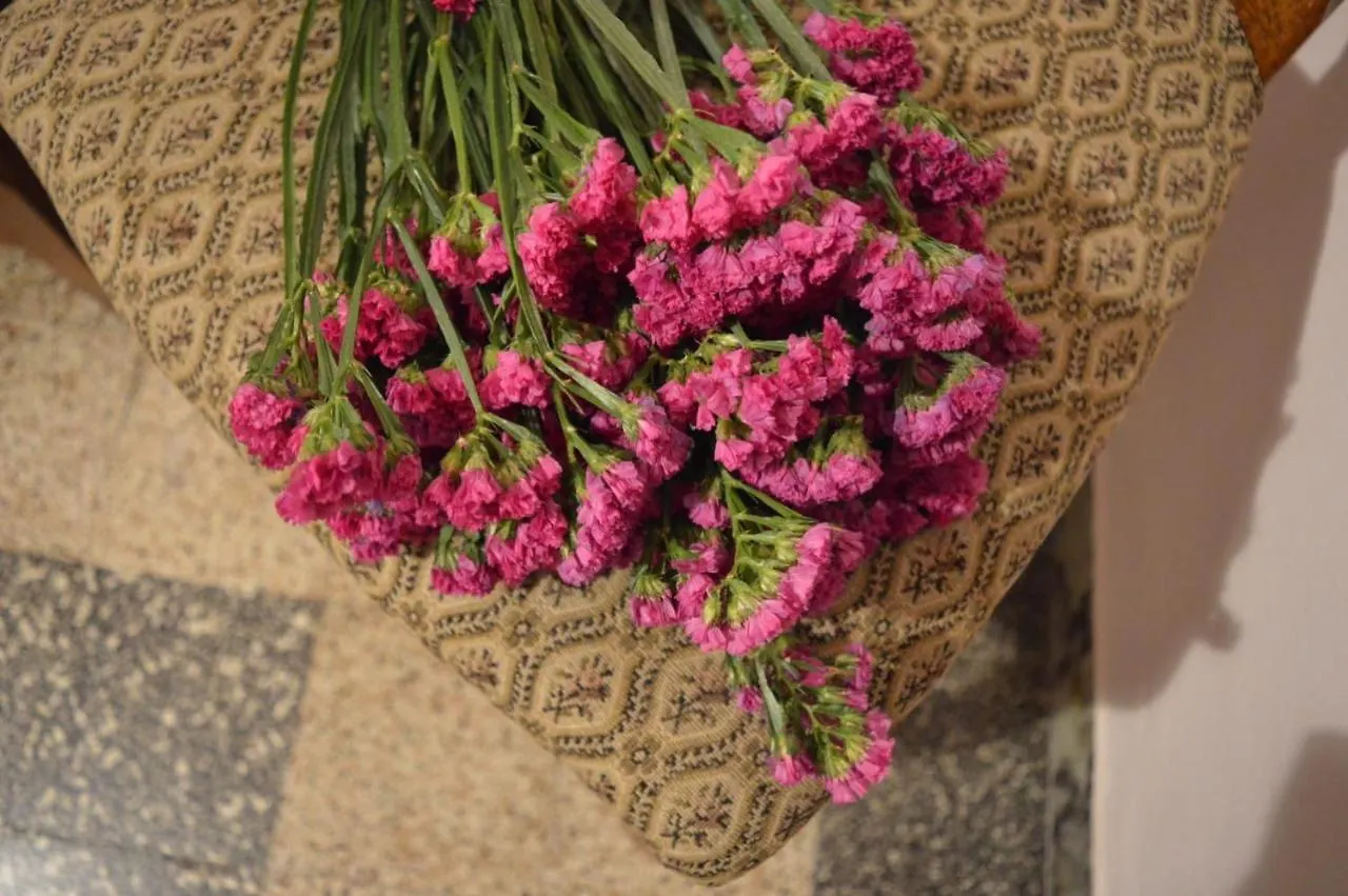 B&B Lady Cocca Savio di Ravenna Italy